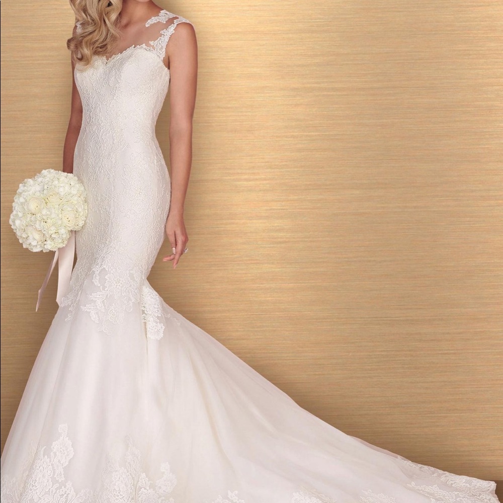 Paloma Blanca- 4672